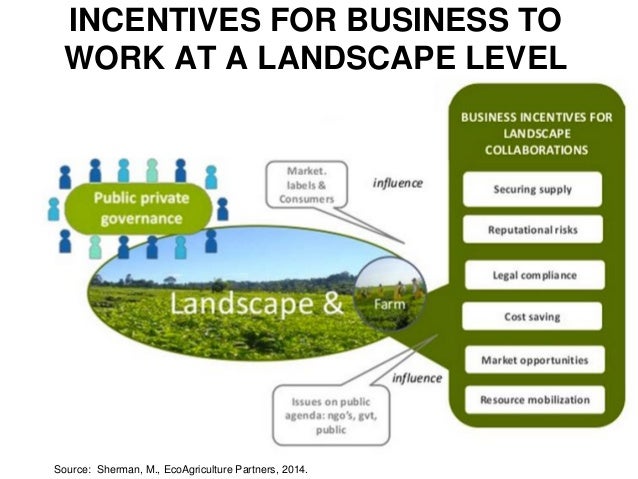 Landscape Economics